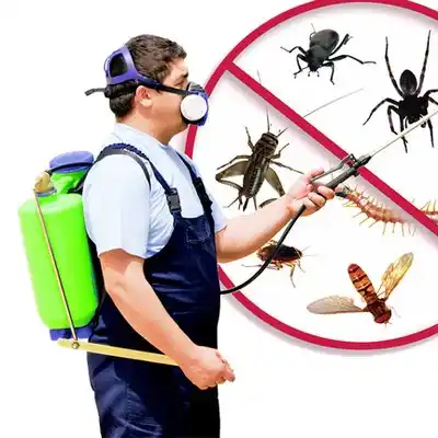 pest control Gray Summit